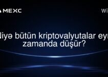 Niyə bütün kriptovalyutalar eyni zamanda düşür?