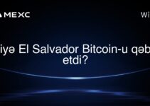 Niyə El Salvador Bitcoin-u qəbul etdi?