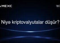 Niyə kriptovalyutalar düşür?