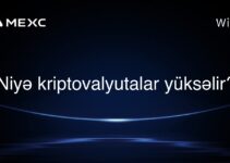 Niyə kriptovalyutalar yüksəlir?