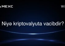Niyə kriptovalyuta vacibdir?