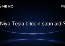 Niyə Tesla bitcoin satın aldı?