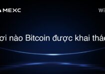 Nơi nào Bitcoin được khai thác?