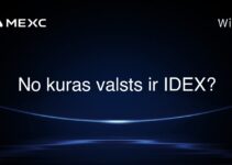 No kuras valsts ir IDEX?