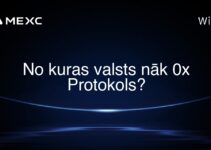 No kuras valsts nāk 0x Protokols?