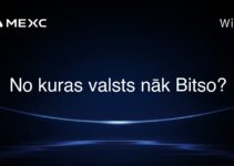 No kuras valsts nāk Bitso?