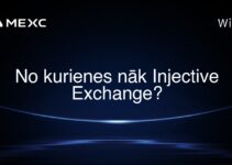 No kurienes nāk Injective Exchange?