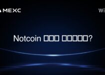 Notcoin 봇이란 무엇인가요?
