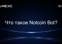 Что такое Notcoin Bot?