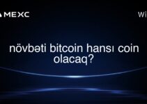 növbəti bitcoin hansı coin olacaq?