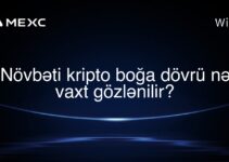 Növbəti kripto boğa dövrü nə vaxt gözlənilir?