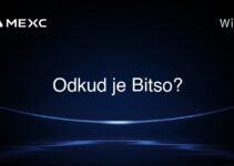 Odkud je Bitso?
