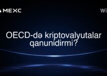 OECD-də kriptovalyutalar qanunidirmi?