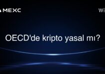 OECD’de kripto yasal mı?