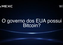 O governo dos EUA possui Bitcoin?