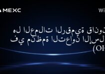 هل العملات الرقمية قانونية في منظمة التعاون الإسلامي (OIC)؟