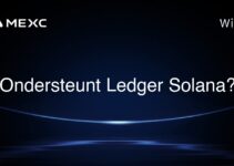 Ondersteunt Ledger Solana?