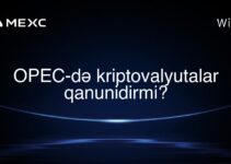 OPEC-də kriptovalyutalar qanunidirmi?