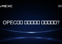 OPEC에서 암호화폐는 합법인가요?
