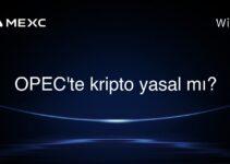 OPEC’te kripto yasal mı?