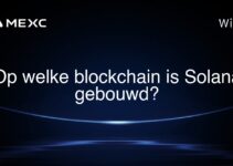 Op welke blockchain is Solana gebouwd?