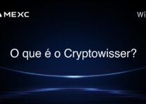 O que é o Cryptowisser?