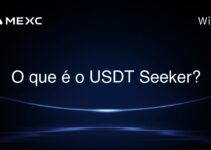 O que é o USDT Seeker?