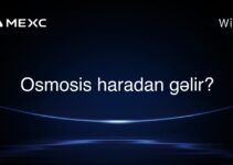 Osmosis haradan gəlir?