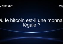 Où le bitcoin est-il une monnaie légale ?
