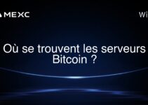 Où se trouvent les serveurs Bitcoin ?