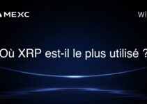 Où XRP est-il le plus utilisé ?