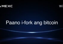 Paano i-fork ang bitcoin