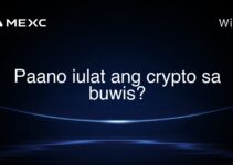 Paano iulat ang crypto sa buwis?