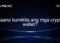 Paano kumikita ang mga crypto wallet?