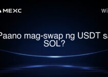 Paano mag-swap ng USDT sa SOL?