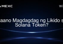 Paano Magdagdag ng Likido sa Solana Token?