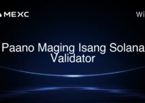 Paano Maging Isang Solana Validator