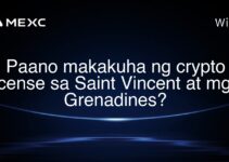 Paano makakuha ng crypto license sa Saint Vincent at mga Grenadines?