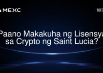 Paano Makakuha ng Lisensya sa Crypto ng Saint Lucia?