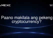 Paano makilala ang pekeng cryptocurrency?