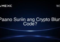 Paano Suriin ang Crypto Blum Code?