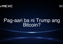 Pag-aari ba ni Trump ang Bitcoin?