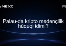 Palau-da kripto mədənçilik hüquqi idimi?
