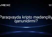 Paraqvayda kripto mədənçiliyi qanunidirmi?