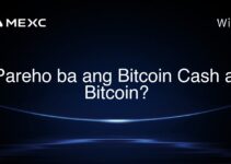 Pareho ba ang Bitcoin Cash at Bitcoin?
