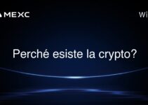 Perché esiste la crypto?