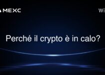 Perché il crypto è in calo?