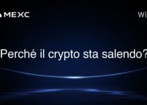 Perché il crypto sta salendo?