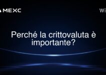 Perché la crittovaluta è importante?