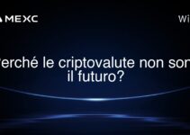Perché le criptovalute non sono il futuro?